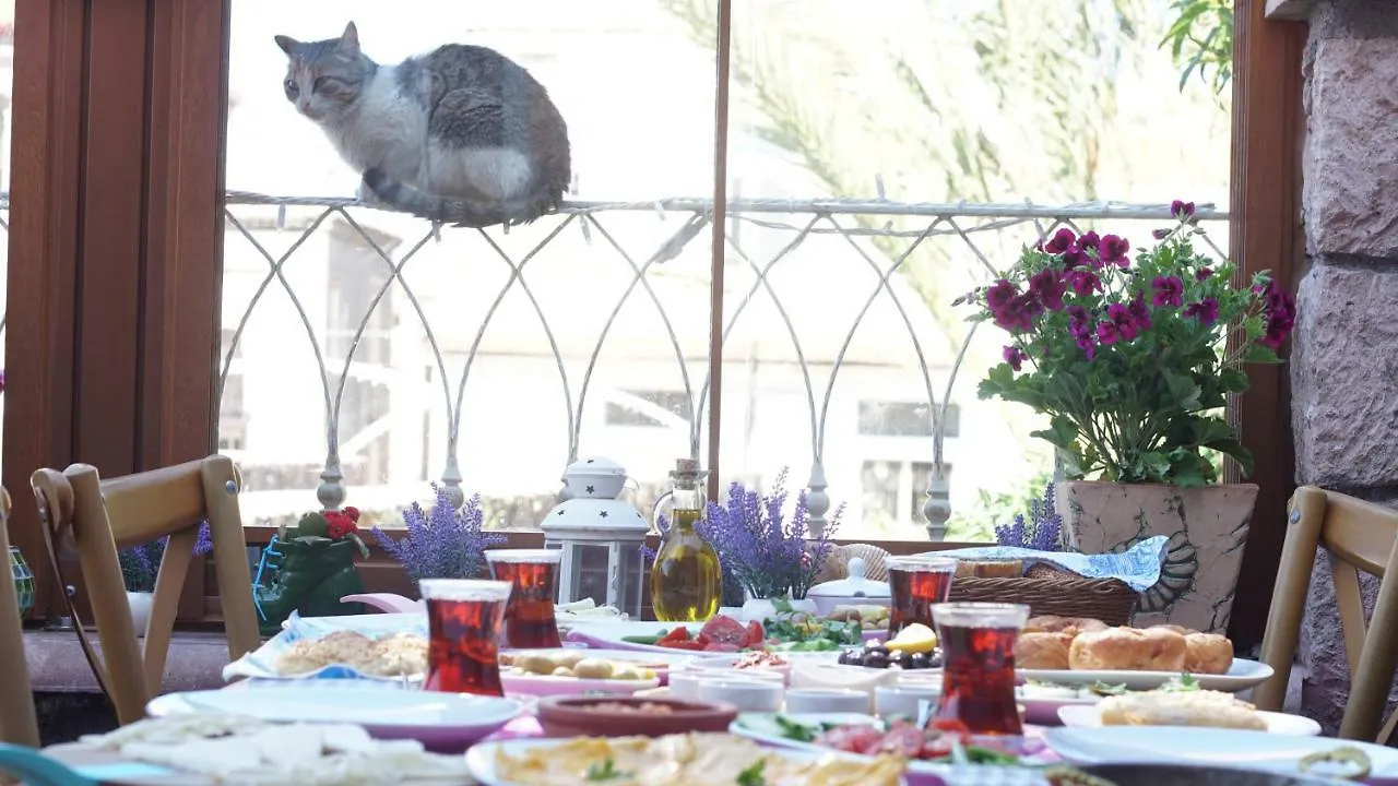 Fikretbey Konağı Otel Ayvalı 5*,